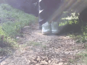 Air Max nebeneinander