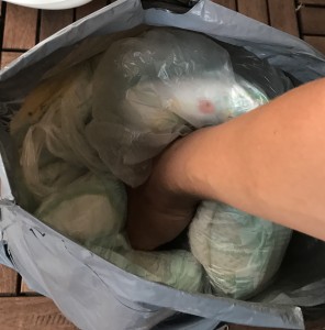 fullsizeoutput_4228.jpeg