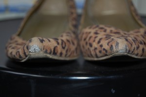 DSC_0758.JPG