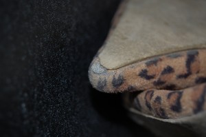 DSC_0731.JPG
