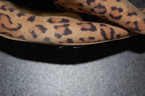 DSC_0740.JPG