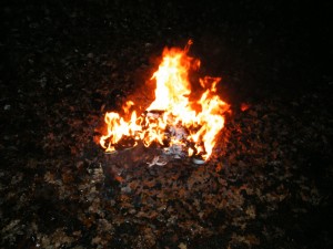 DSCF9036.JPG