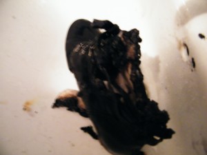 DSCF9049.JPG
