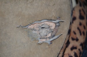 DSC_0738.JPG