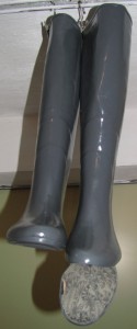 IMG_3161b.JPG