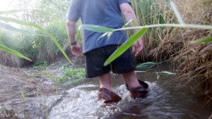 wet_3.jpg