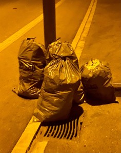 IMG_1247.jpeg