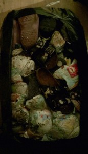 IMG_1455_Original.jpeg