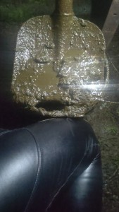 IMG-20250129-WA0022.jpeg
