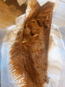 Richtig schön bedeckt mit Scheiße in einer Windel