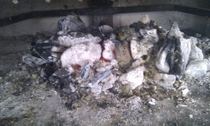 Grillfest m Lederstiefeln (2).jpg