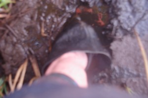 PSX_20250428_151717.jpg