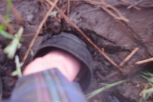 PSX_20250428_151755.jpg