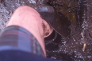 PSX_20250428_154254.jpg