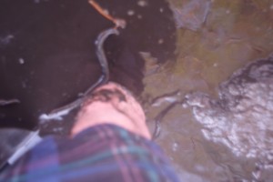 PSX_20250428_154015.jpg