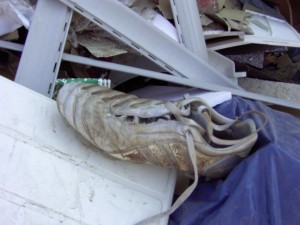 Müllkippe02 022.jpg (75.66 KiB) 10709 mal betrachtet Der dreckige Fußballschuh sieht bald auch so aus.