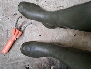 20251113 Tuingereedschap 1.jpg