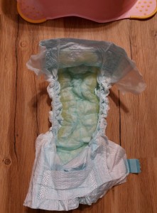 Die war viel zu sauber, nur mit Pipi gefüllt, zu schade um sie einfach wegzuschmeißen