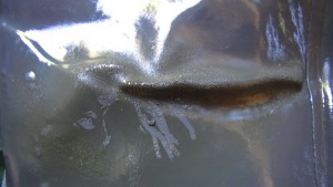 IMG_4062a.JPG