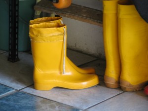 IMG_2162.JPG