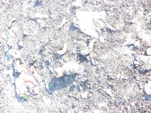 Müllkippe02 052.jpg (1.13 MiB) 9911 mal betrachtet Bild des Grauens: Eine zermalmte Puppe!