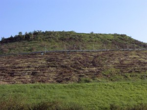 Müllkippe02 057.jpg (128.94 KiB) 9768 mal betrachtet So "harmlos" sieht der Müllberg von der Straße aus!