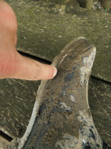 DSCF2115_1.jpg (938.19 KiB) 15028 mal betrachtet Na, genau da ist das Loch!