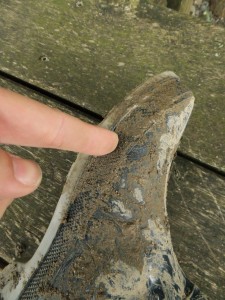 DSCF2116_1.jpg (905.29 KiB) 13800 mal betrachtet Der Druck des Zeigefingers wird erhöht.