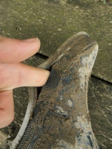 DSCF2117_1.jpg (849.56 KiB) 13764 mal betrachtet Hoppla!! So doll nu auch wieder nicht!