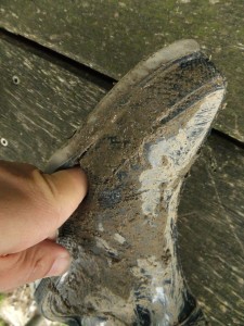 DSCF2118_1.jpg (883.57 KiB) 13769 mal betrachtet Bis zum Anschlag!