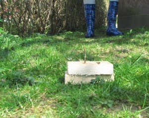 IMG_3730 (2)a.JPG (581.06 KiB) 4733 mal betrachtet IMG_3730 (2)a.JPG