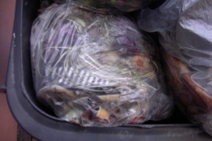 Müll0912 019.jpg (330.91 KiB) 5928 mal betrachtet Kaum noch im Ekeldreck zu erkennen: Lauras weggeschmissene Sommer-Sandaletten und die gestreiften Ballerinas.