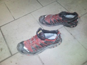 Die roten Füße in der Übersicht