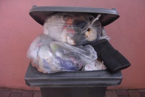 Müll0912 023.jpg (361.65 KiB) 5237 mal betrachtet Was für eine Menge Müll!