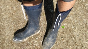 Vor dem Schlammbad.JPG (719.06 KiB) 1968 mal betrachtet Vor dem Schlammbad.JPG