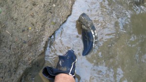 Das Schlammbad beginnt.JPG (415.4 KiB) 1975 mal betrachtet Das Schlammbad beginnt.JPG