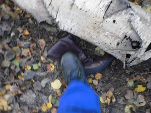 P1080424.JPG (335.34 KiB) 15018 mal betrachtet der wollte nicht so, wie ich