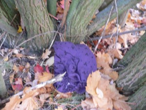 P1080427.JPG (350.73 KiB) 15048 mal betrachtet vorher