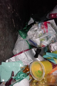 Da war noch genug Platz für &quot;frischen&quot; Hausmüll und einen Tag später besuchte ich wieder diesen Ort.