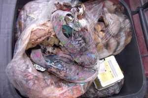 Schockbilder: So süße Schuhe derart im Müllsiff gedemütigt!