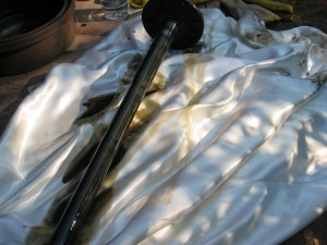 IMG_0265.JPG