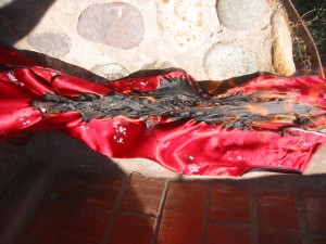 IMG_1064.JPG