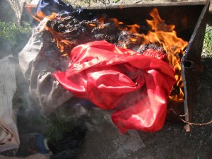 IMG_1231.JPG