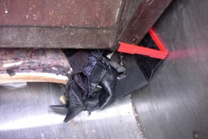 Harir01 106.jpg (267.09 KiB) 9226 mal betrachtet Schon fast im Bauch des Müllautos, fängt der geile Müll an zu rutschen und man kann nun endlich mehr erkennen.