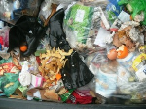 Was für ein irrer Müllfund!