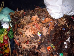 IMG_8786.JPG