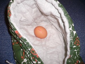 P1080823.JPG (398.73 KiB) 3953 mal betrachtet wo kommt das Ei her? Das muss ich dort rausholen