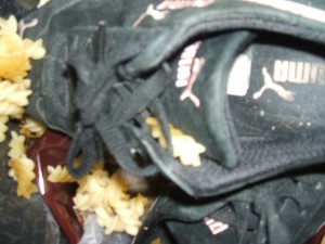 Bild 048.jpg