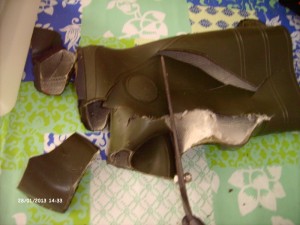 LPIC2096 (800x600).jpg