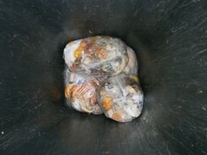 Noch kurz bevor der Fastnachtsmüll reingeschmissen wurde.